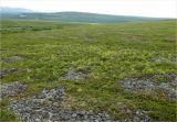 Image of landscape