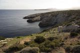 Image of landscape