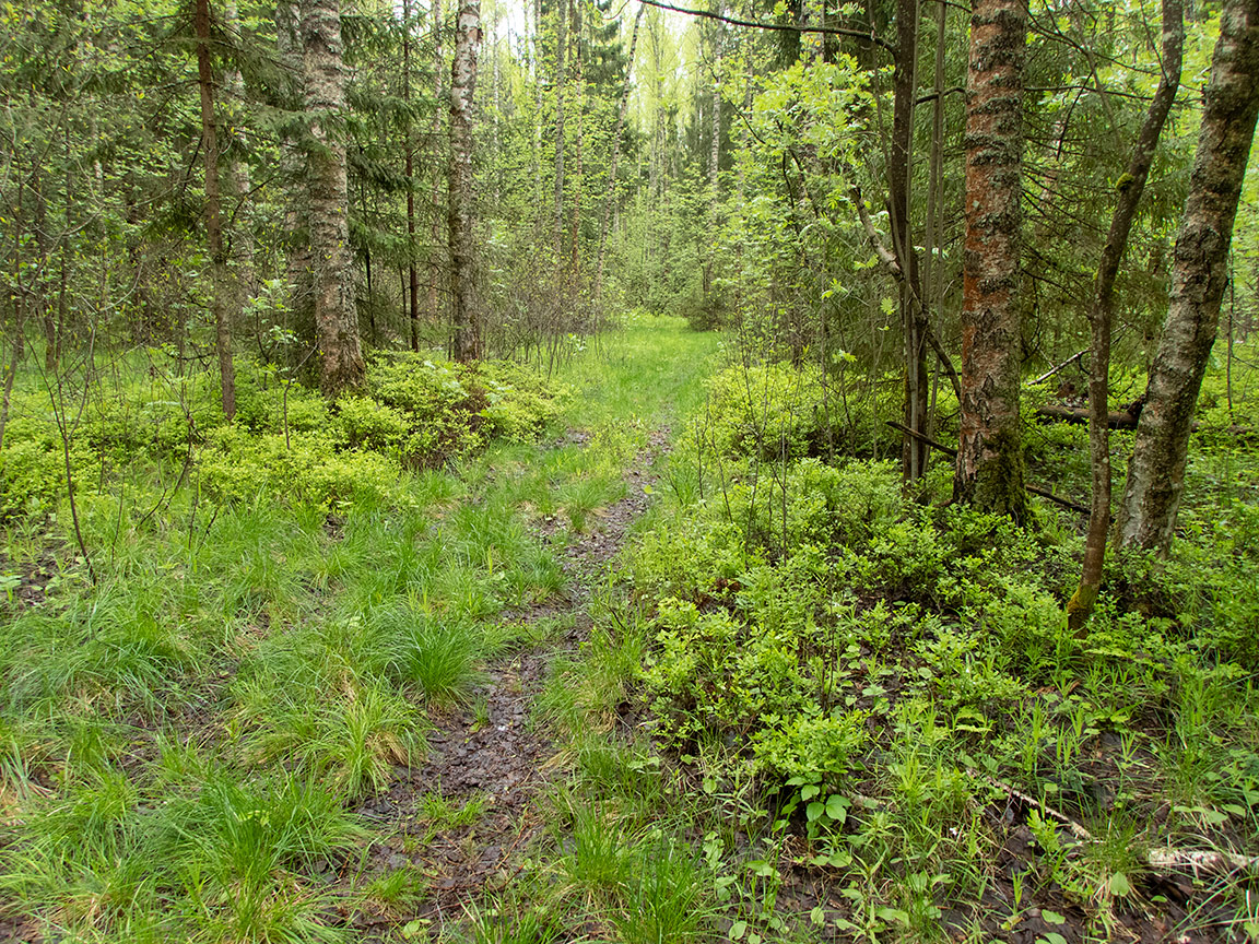 Дубна, image of landscape/habitat.