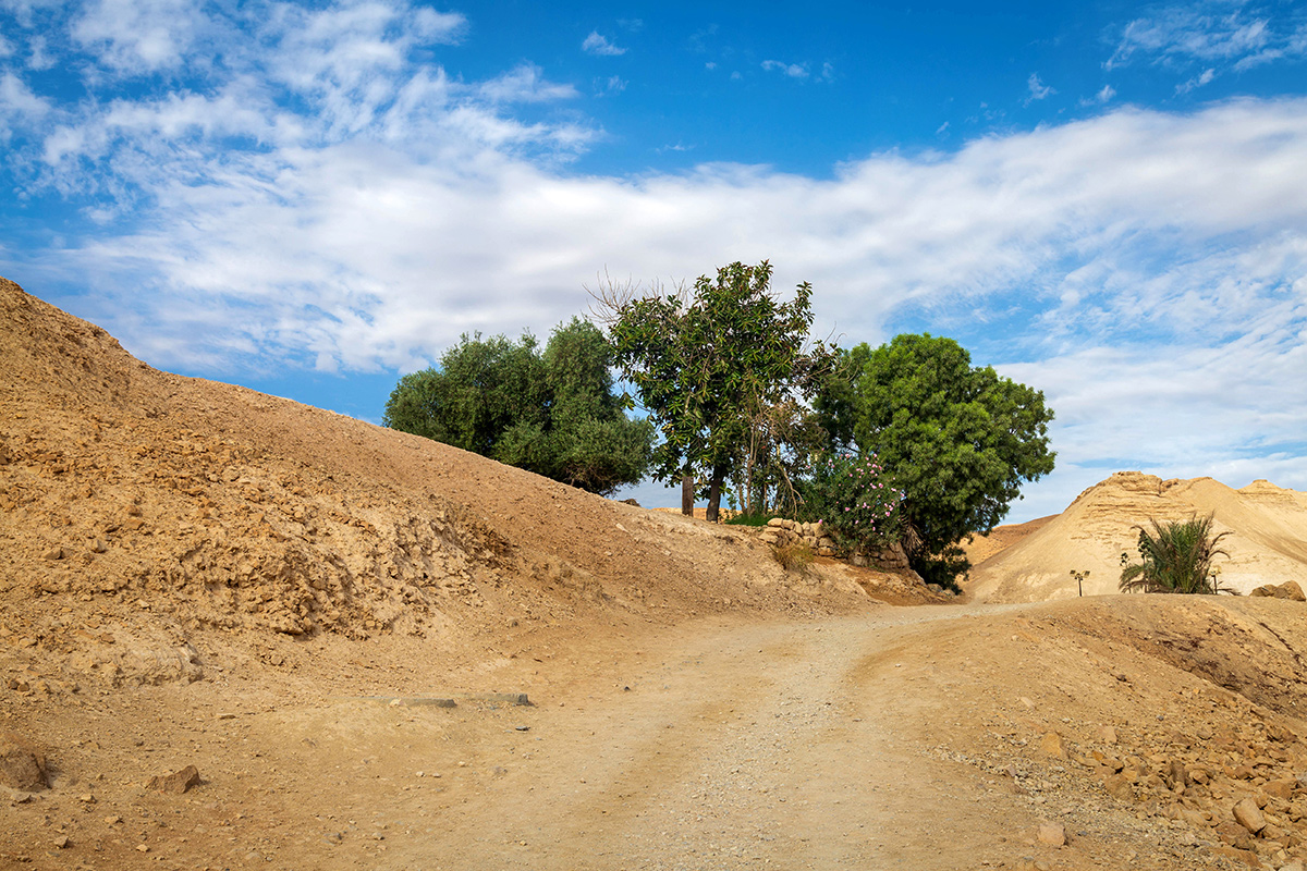 Иудейская пустыня, image of landscape/habitat.