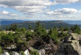 Зигальга, image of landscape/habitat.