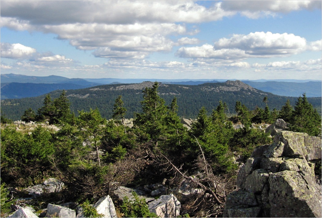 Зигальга, image of landscape/habitat.