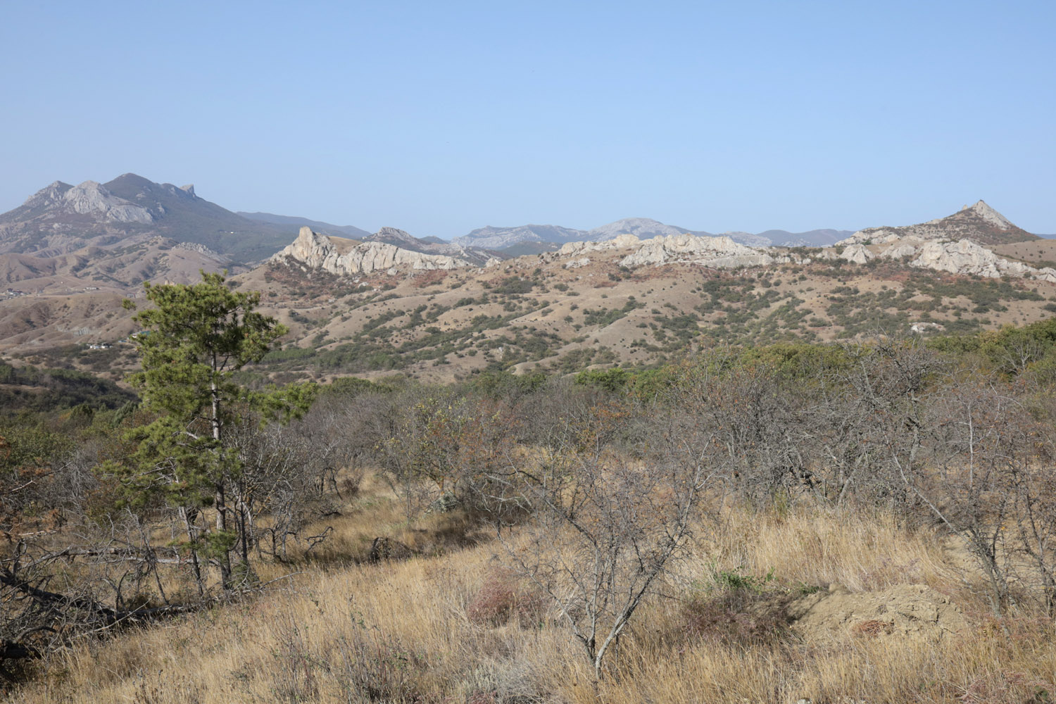 Карадаг, image of landscape/habitat.