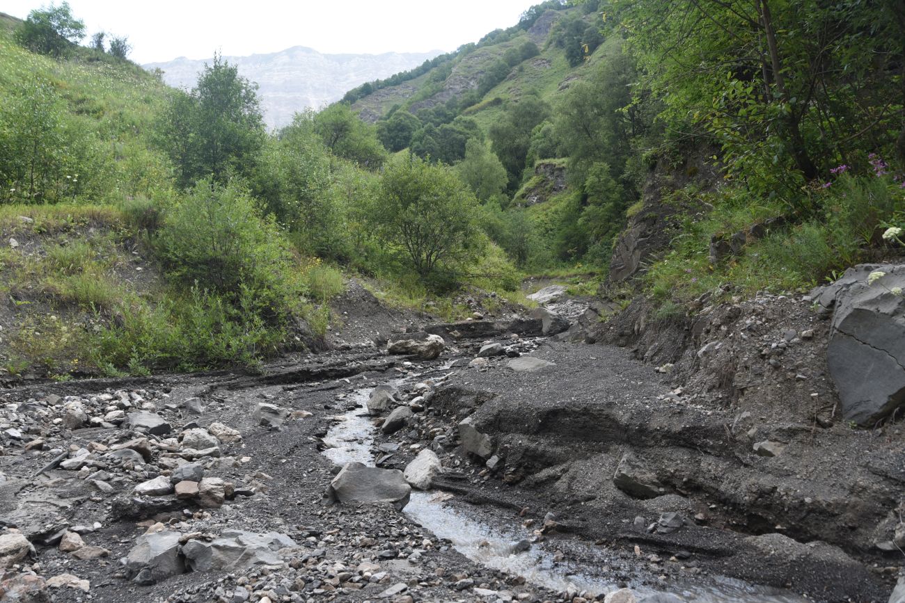 Ещё один левый приток Цесиахк, image of landscape/habitat.
