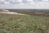 Image of landscape