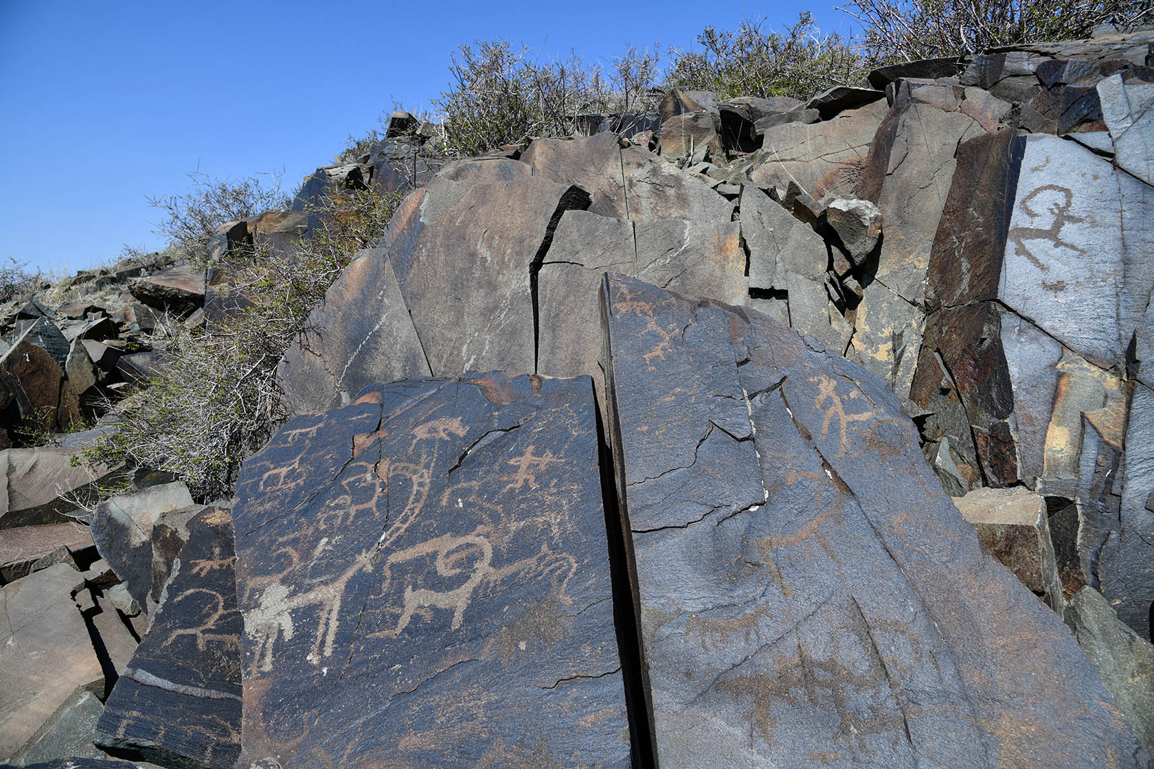 Тамгалы (Танбалы), image of landscape/habitat.