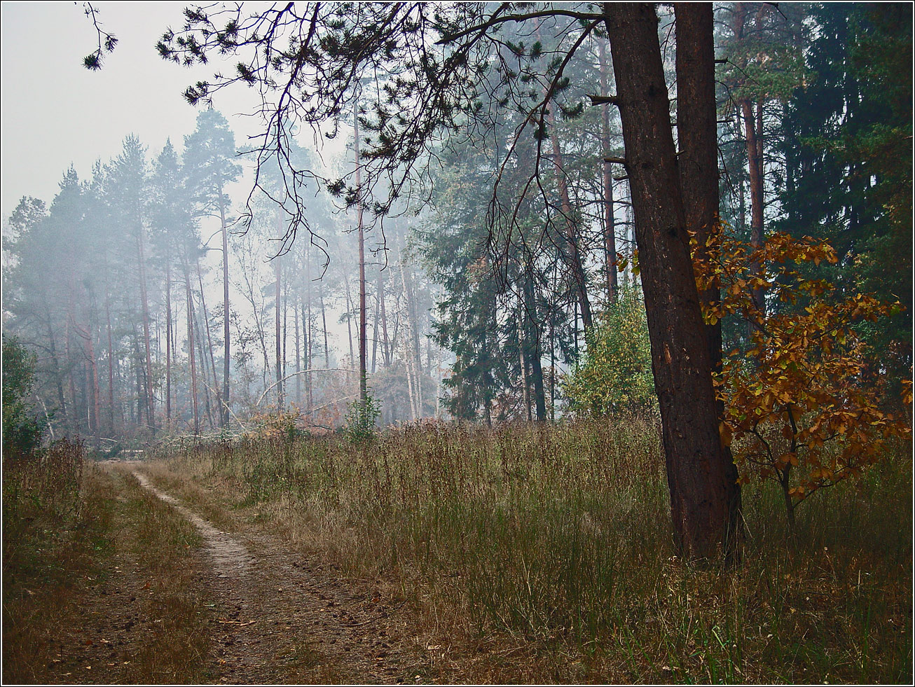 Окрестности Хрипани, image of landscape/habitat.