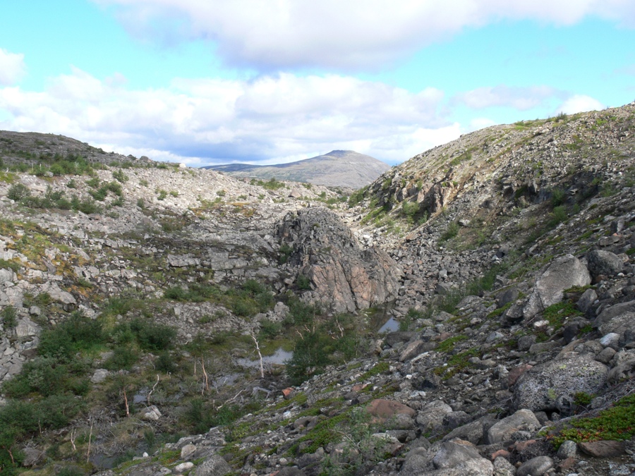 Мончегорск, image of landscape/habitat.