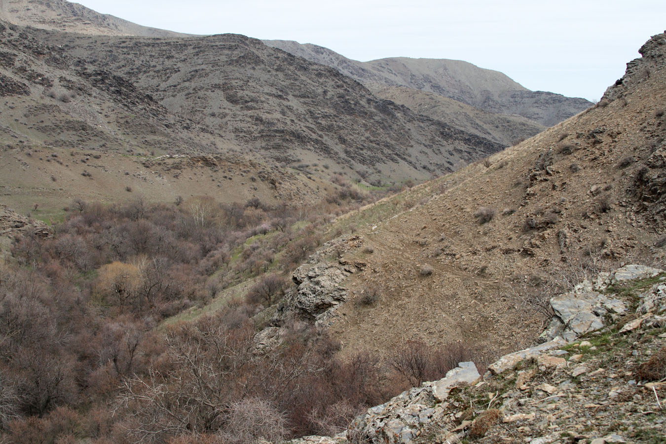 Хаятсай 2, image of landscape/habitat.