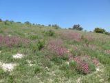 Супсех, image of landscape/habitat.