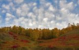 Порт Байкал, image of landscape/habitat.