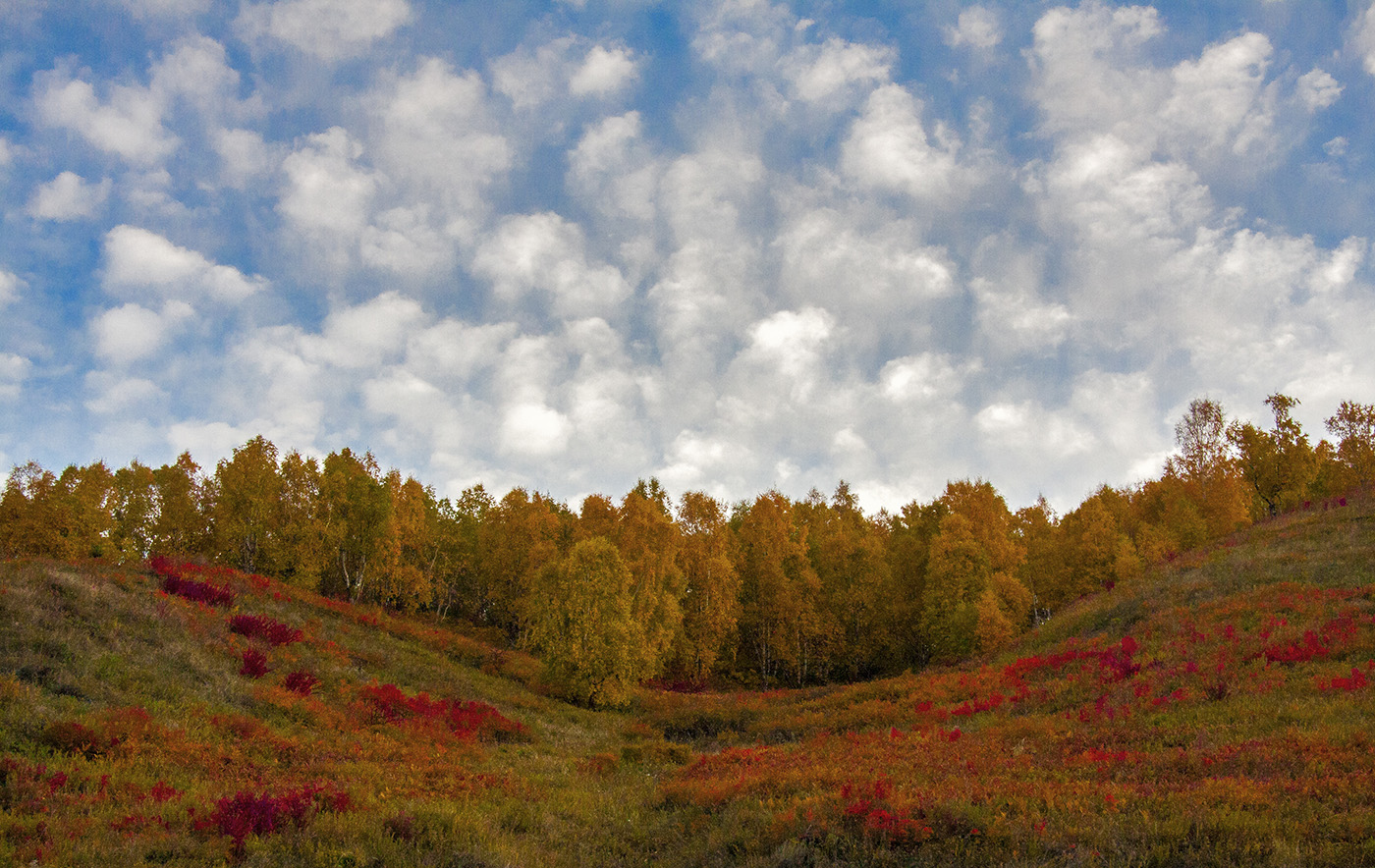 Порт Байкал, image of landscape/habitat.