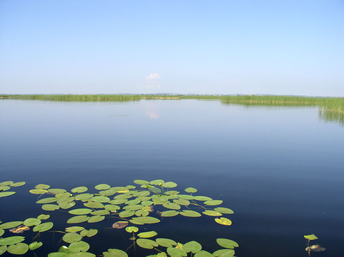 Озеро Неро, image of landscape/habitat.