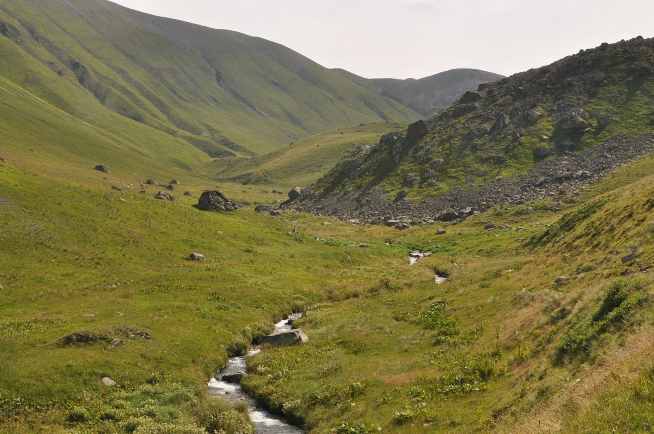 Долина ручья Чаухицхали, image of landscape/habitat.