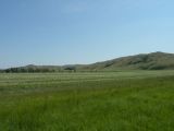 Image of landscape