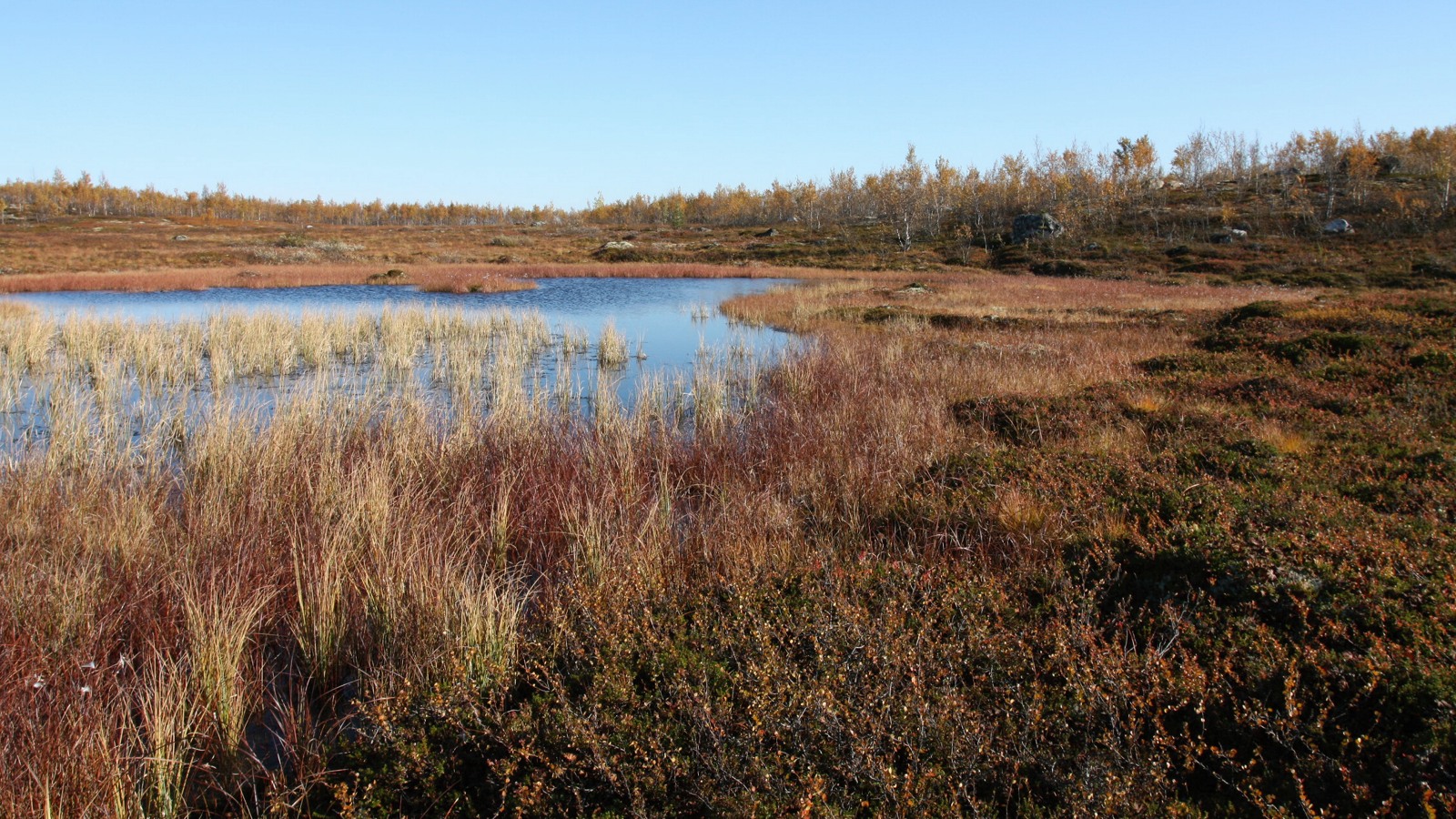 Могильный Ров, image of landscape/habitat.