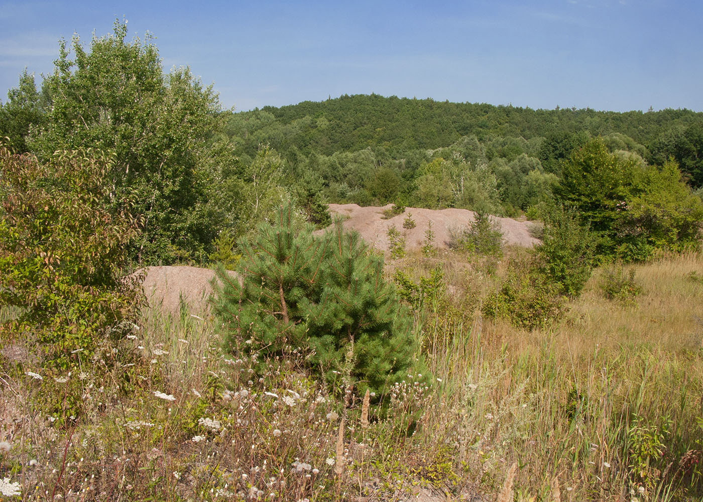 Заброшенный ртутный карьер, image of landscape/habitat.