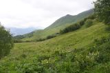 Image of landscape