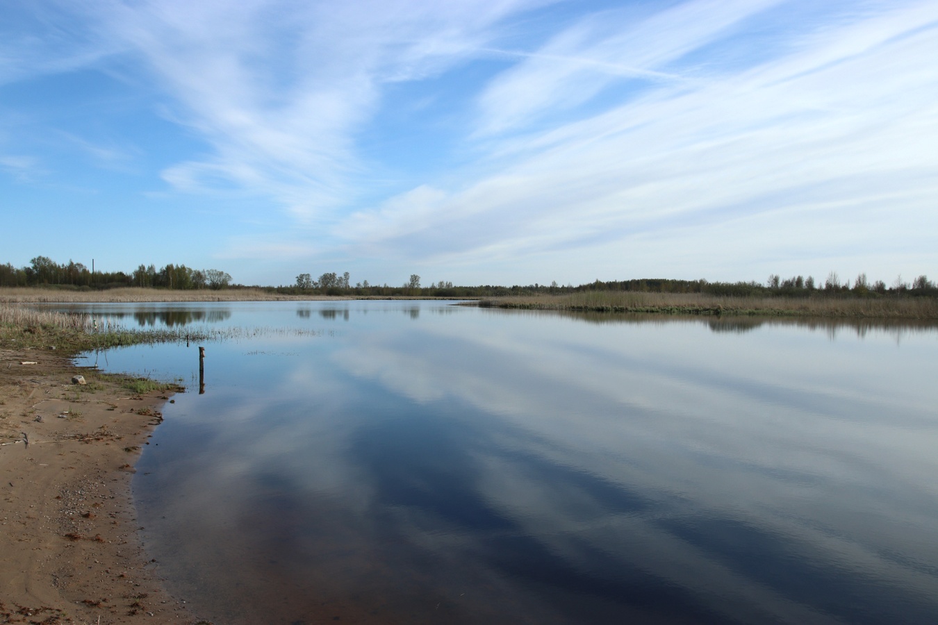 Окрестности Самолвы, image of landscape/habitat.