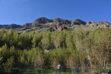 Окрестности озера Немрут, image of landscape/habitat.