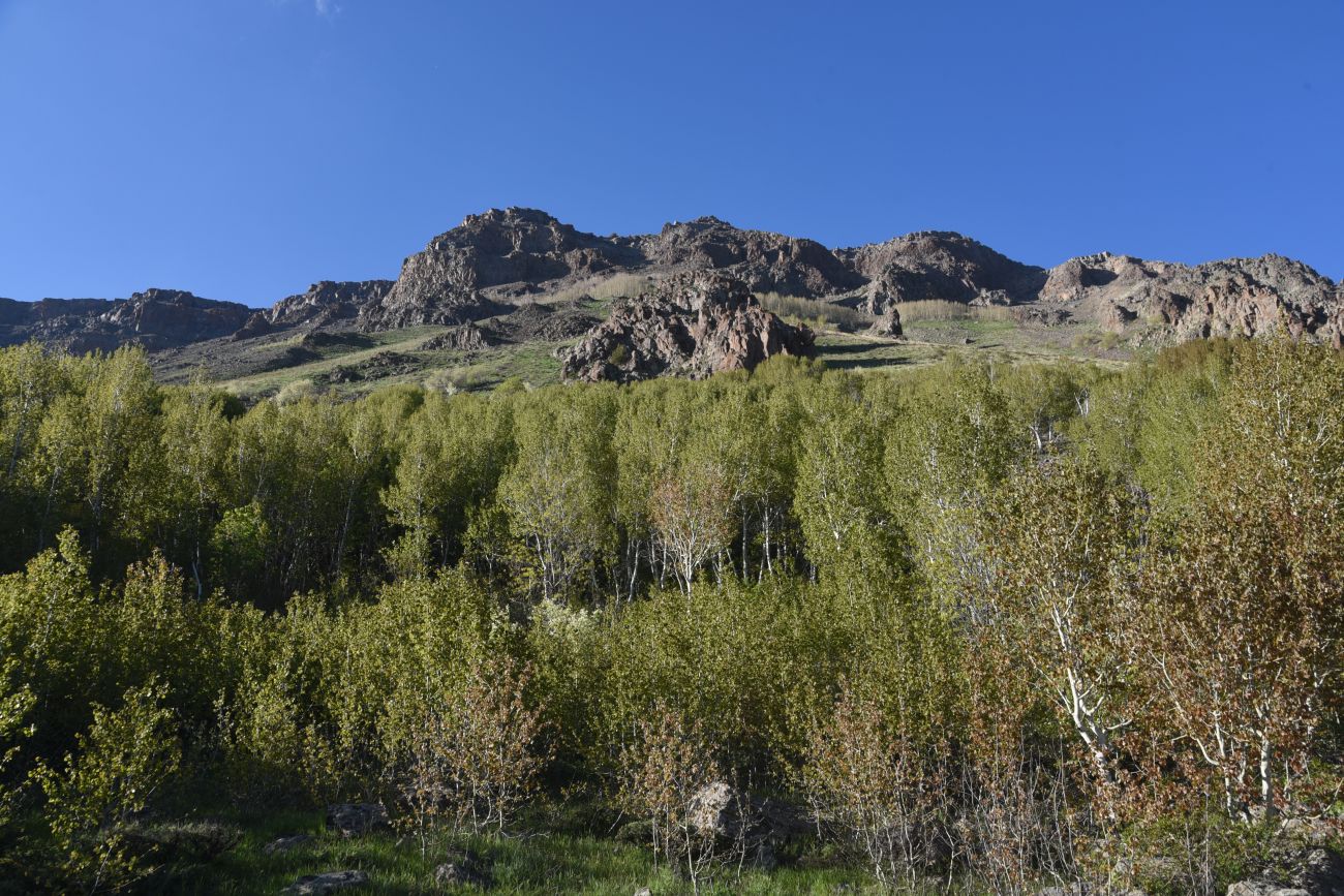Окрестности озера Немрут, image of landscape/habitat.