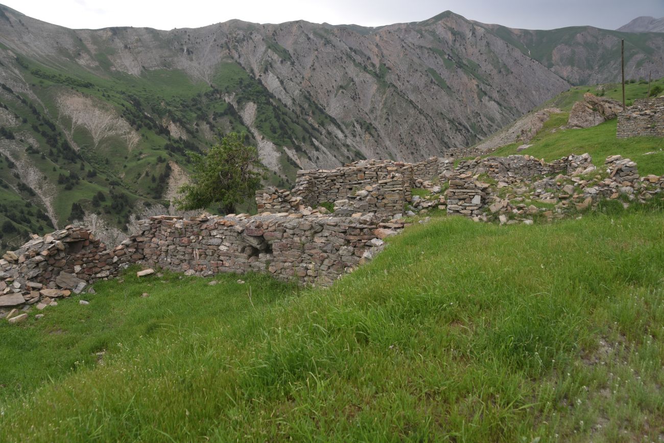 Кучанис, image of landscape/habitat.