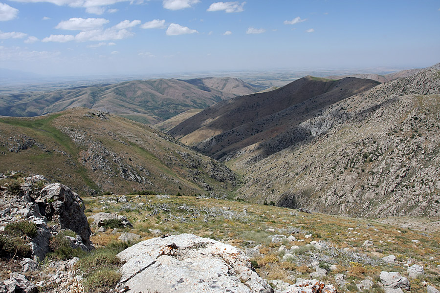 Горы Алатау, image of landscape/habitat.