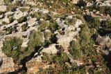 Image of landscape
