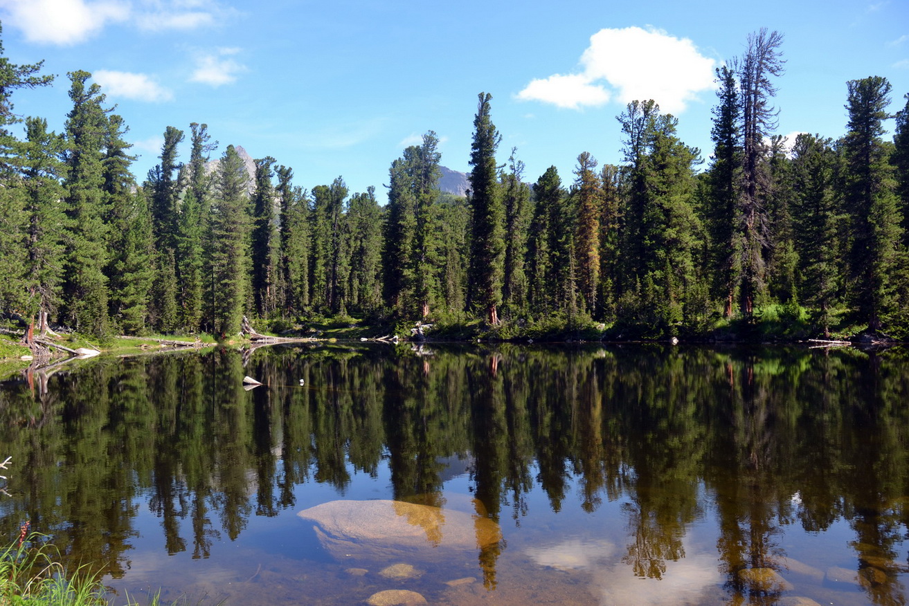 Ергаки, image of landscape/habitat.