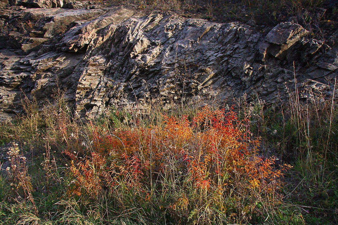 Порт Байкал, image of landscape/habitat.