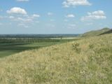 Image of landscape
