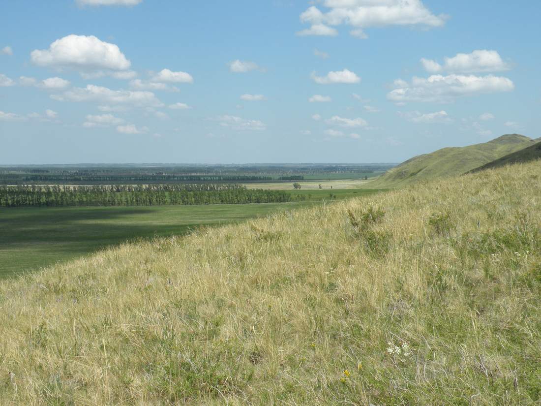 Озёрки, изображение ландшафта.