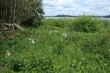 Езерище и окрестности, image of landscape/habitat.