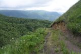 Image of landscape