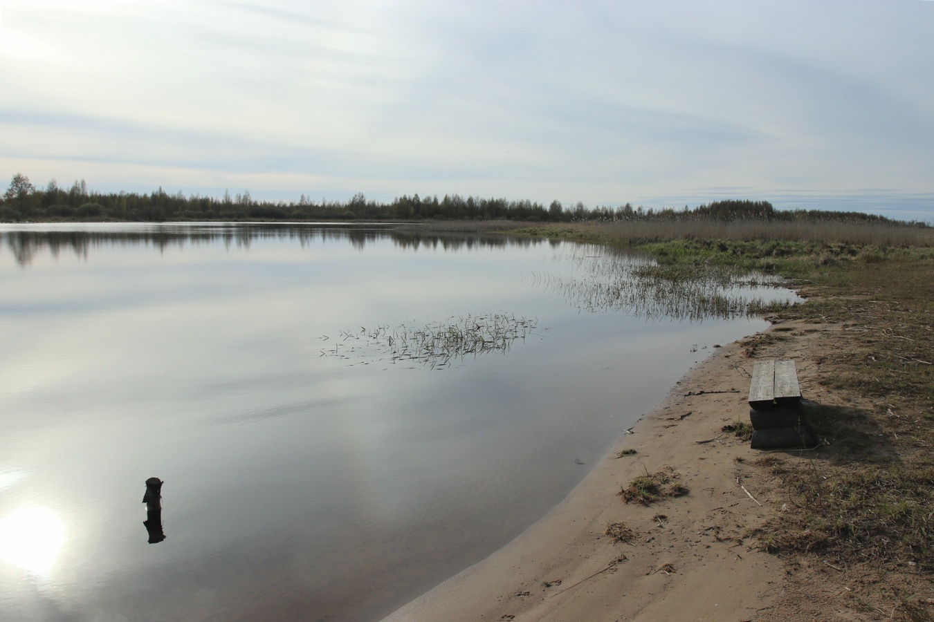 Окрестности Самолвы, image of landscape/habitat.