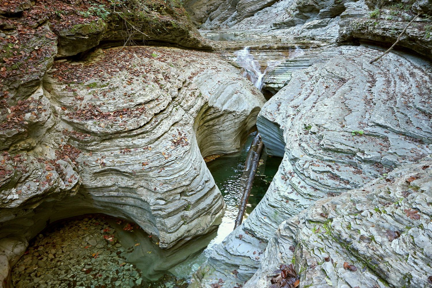 Долина Таштая, image of landscape/habitat.