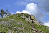 Landscape image