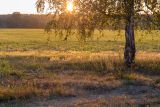 Image of landscape