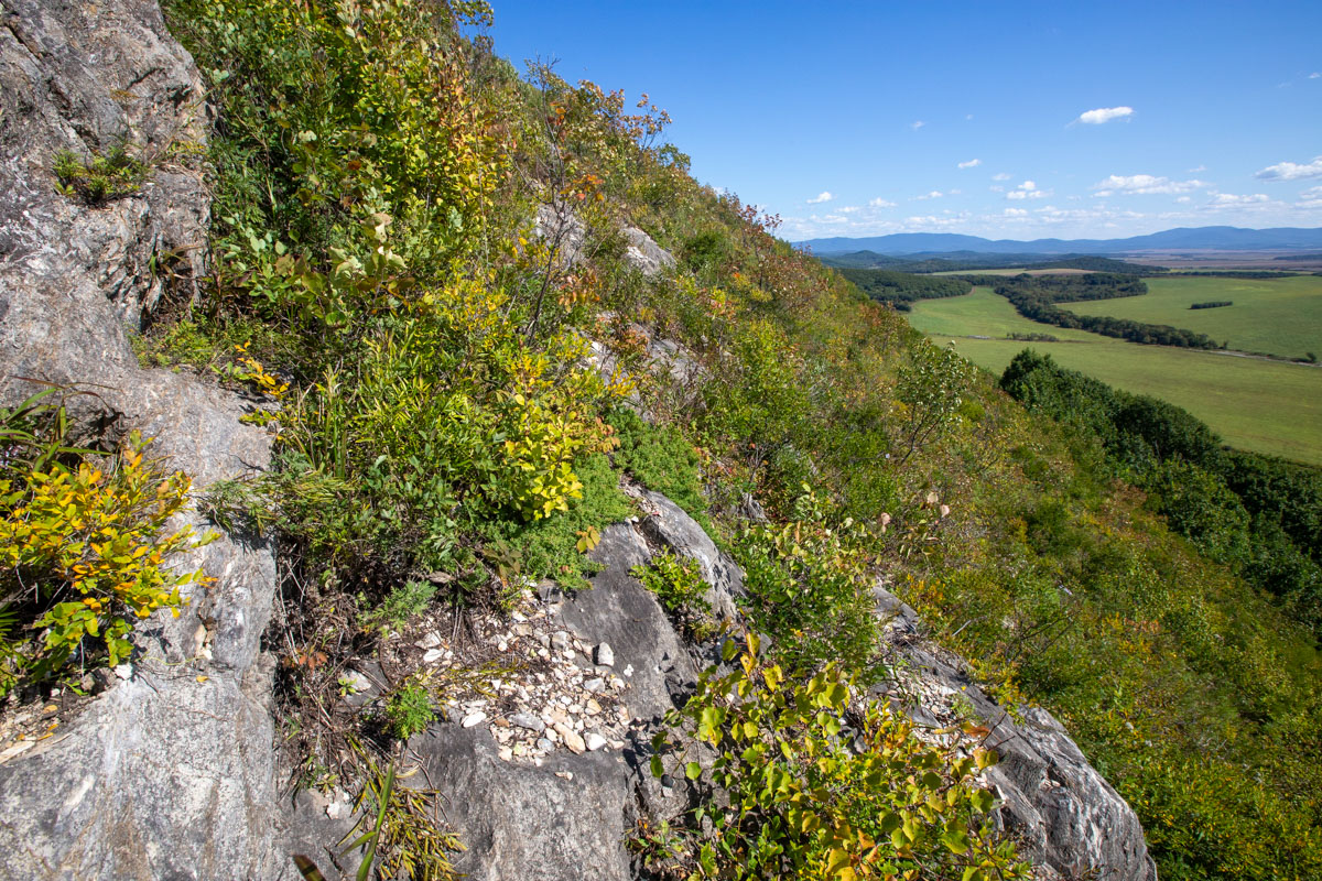 Прохоры, image of landscape/habitat.