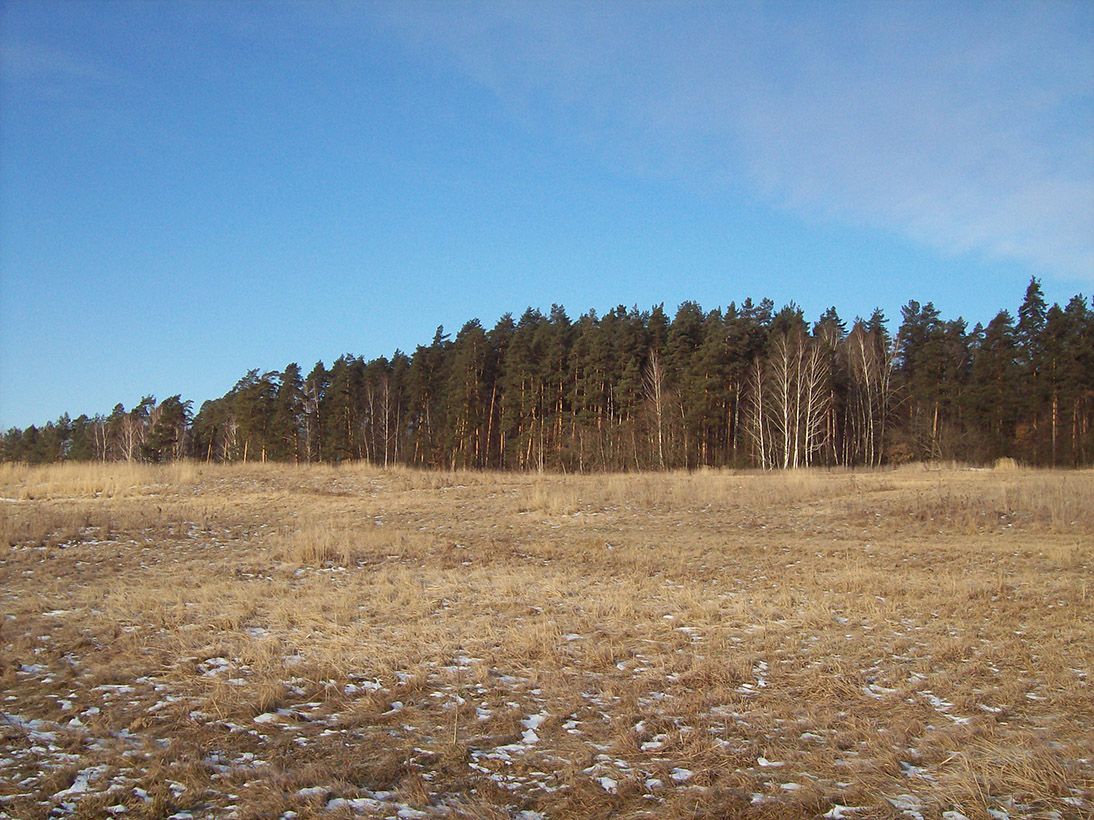 Дача Рокоссовского, изображение ландшафта.
