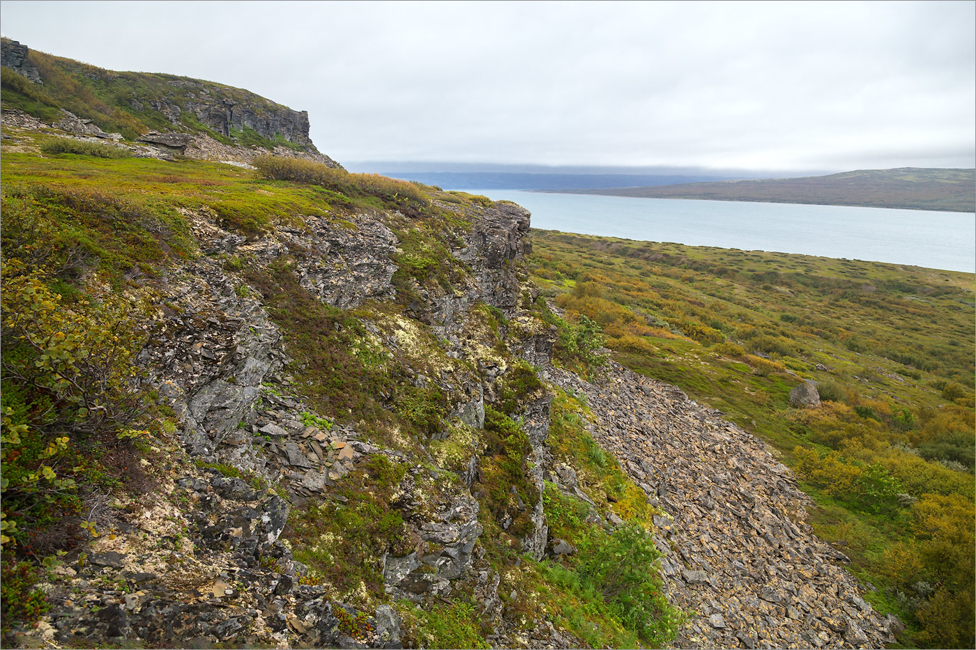 Губа Большая Мотка, image of landscape/habitat.