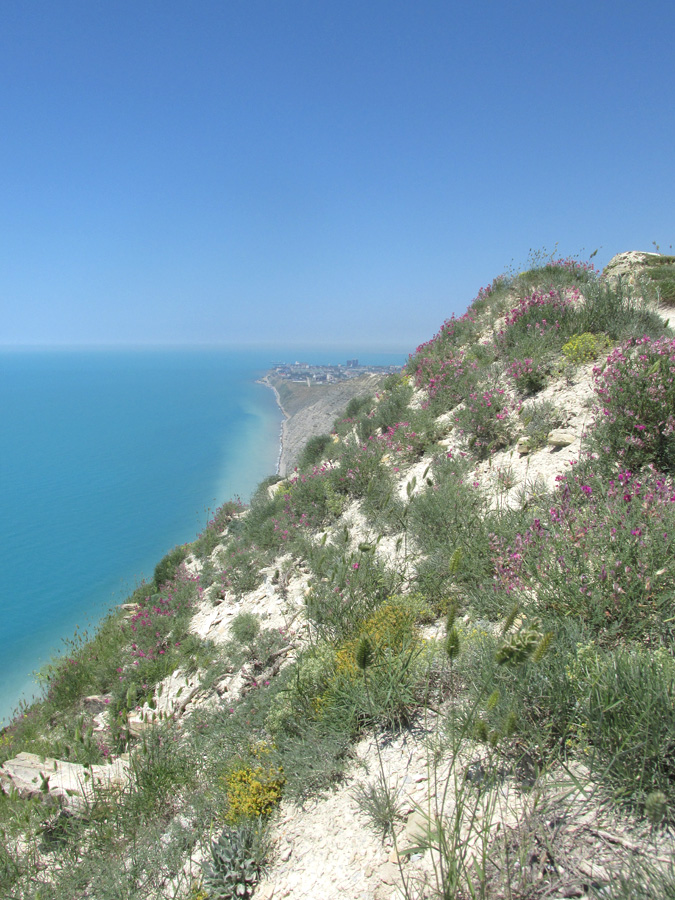 Супсех, image of landscape/habitat.