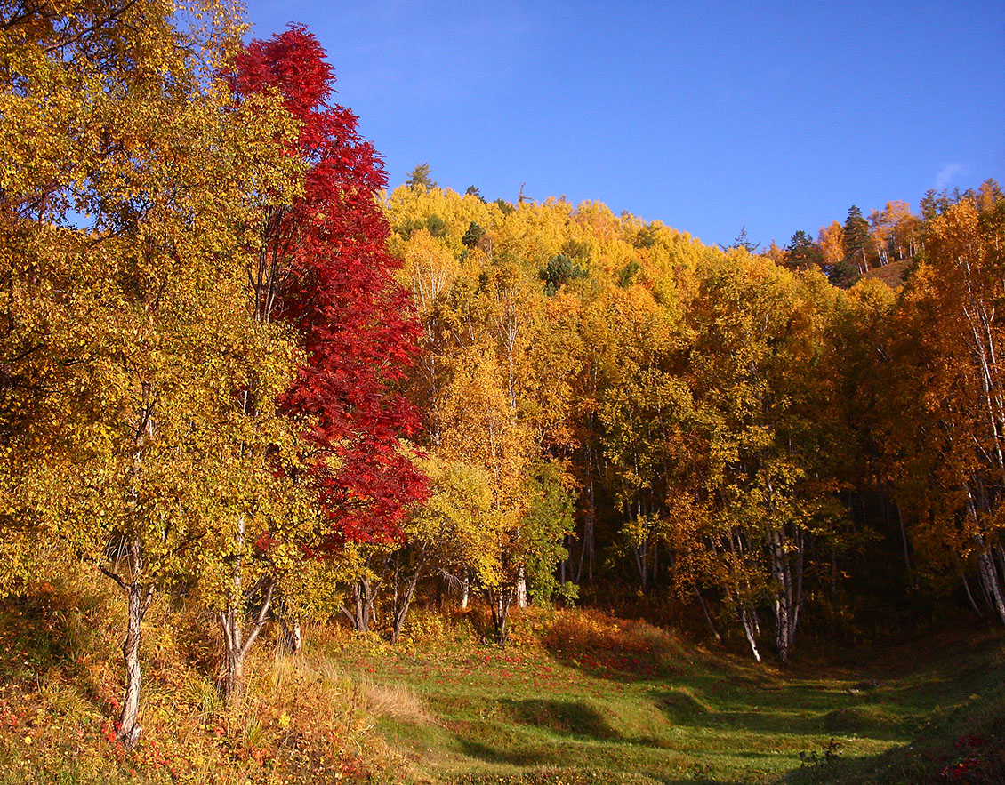 Порт Байкал, image of landscape/habitat.