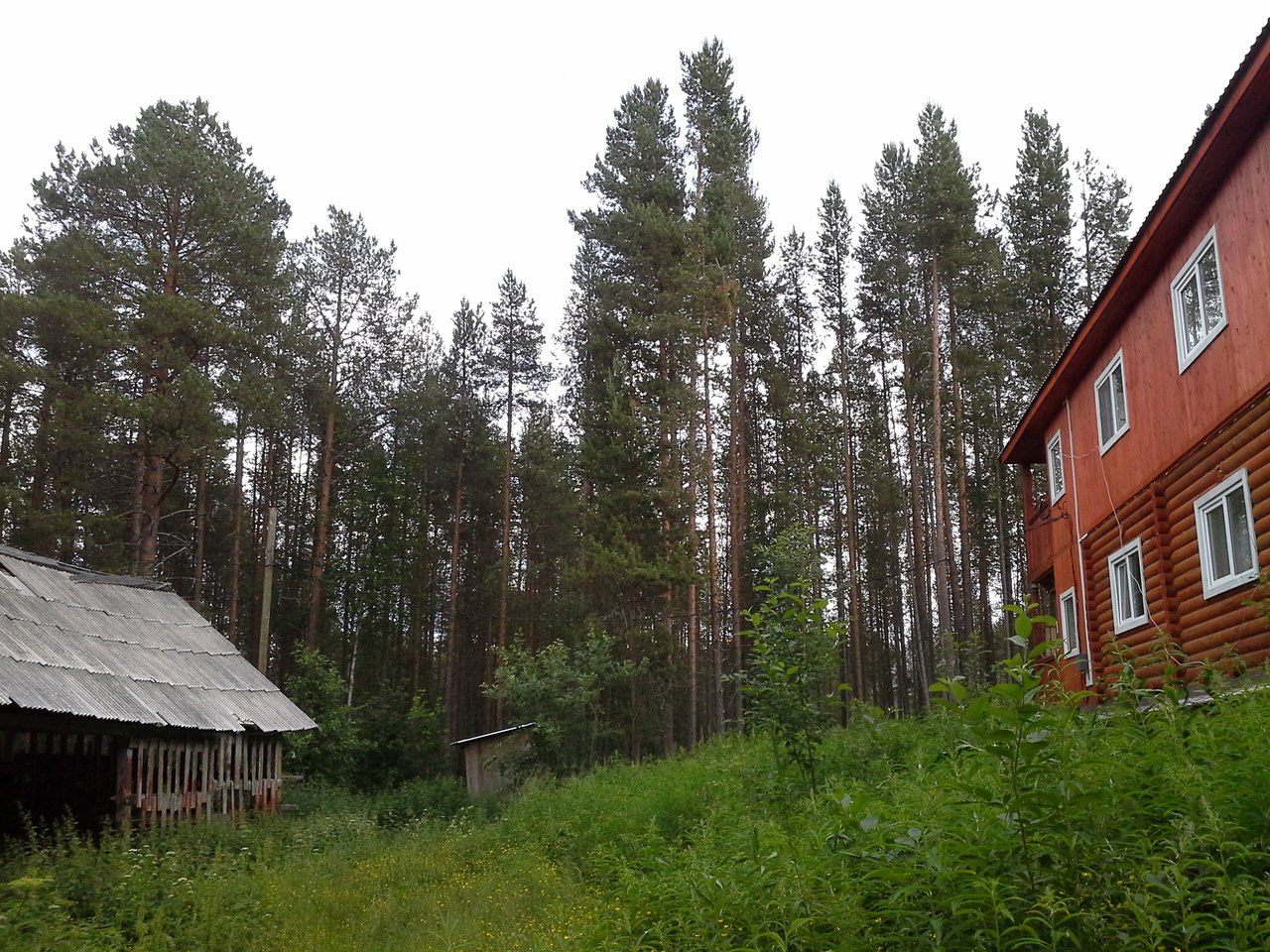 Беломорская Биостанция МГУ, image of landscape/habitat.