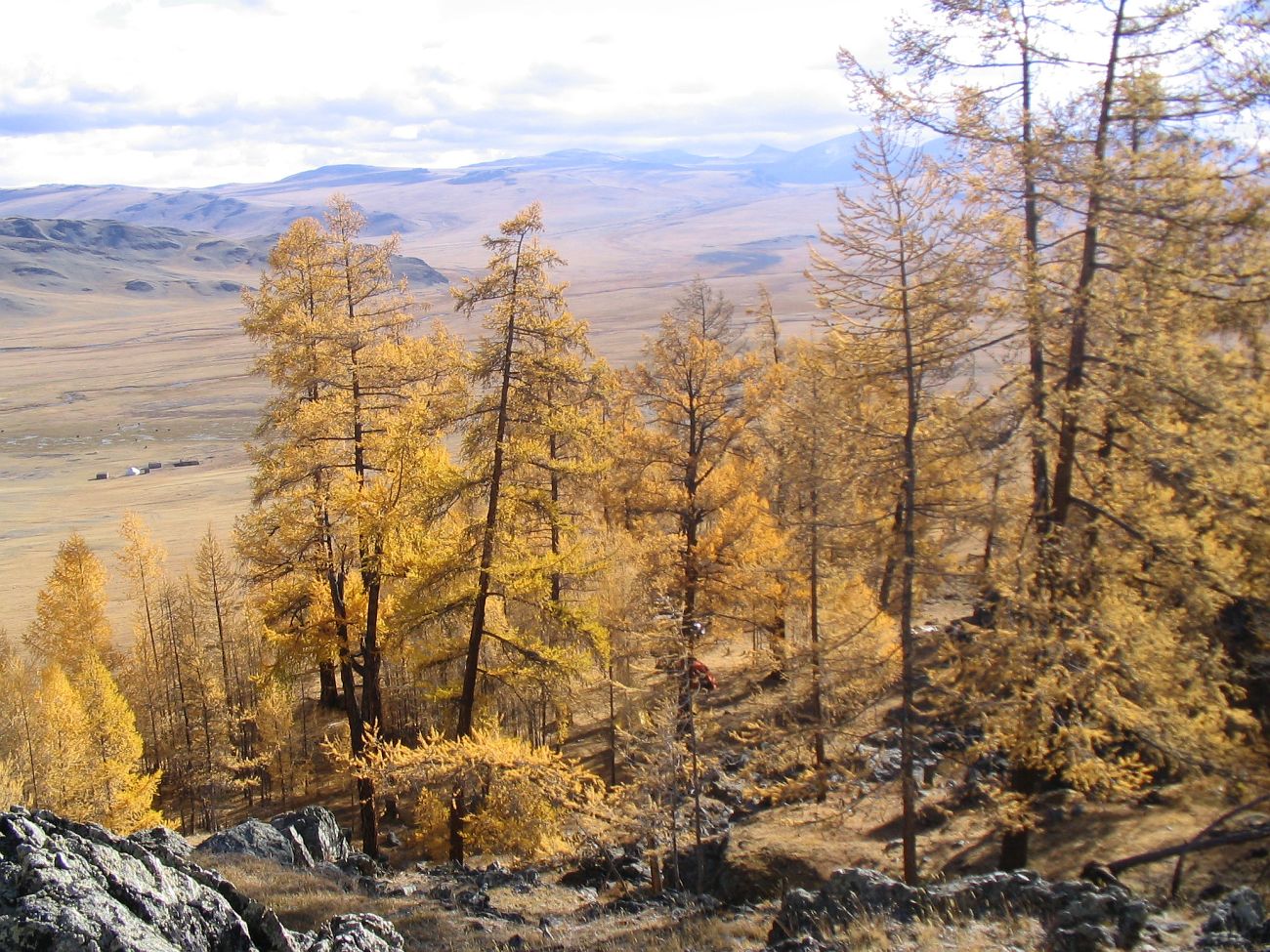 Окрестности озера Даян-Нур, image of landscape/habitat.