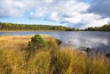 Image of landscape