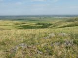 Image of landscape
