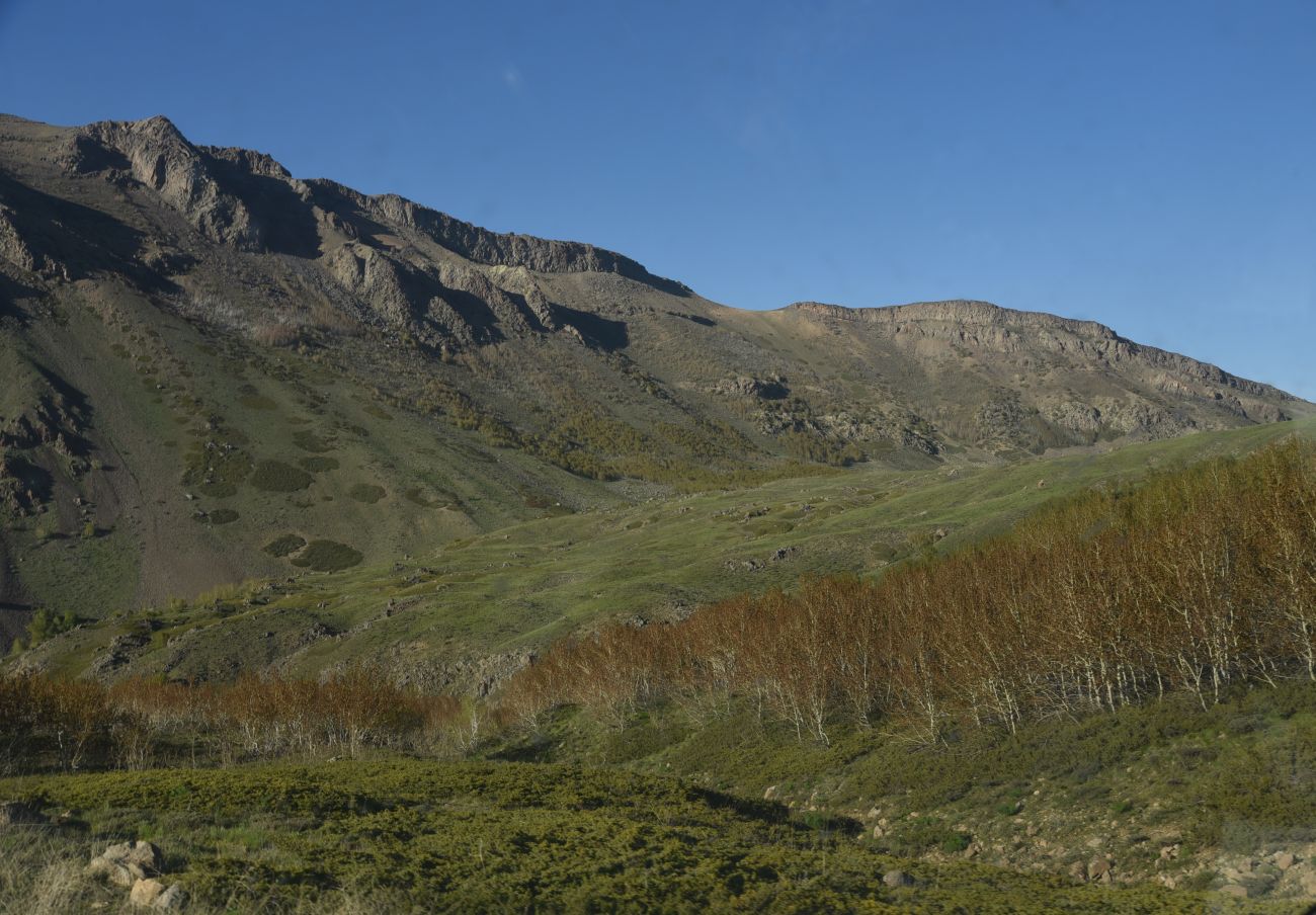 Окрестности озера Ылы, image of landscape/habitat.