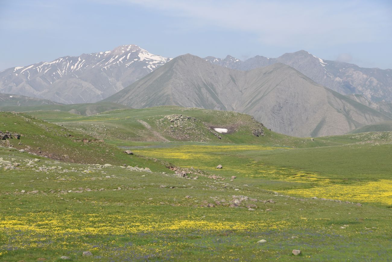 Локальный перевал, image of landscape/habitat.