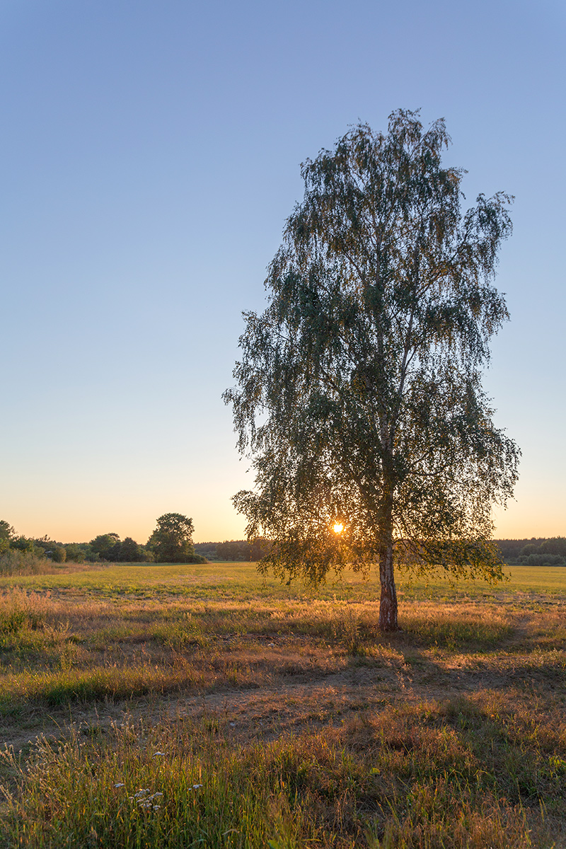 Бобинка и окрестности, image of landscape/habitat.